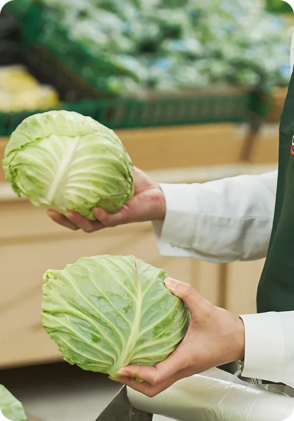 新鮮な野菜を持つ人