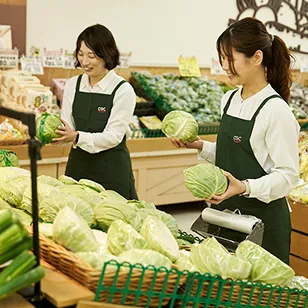 畑でほうれん草を収穫する農家の様子